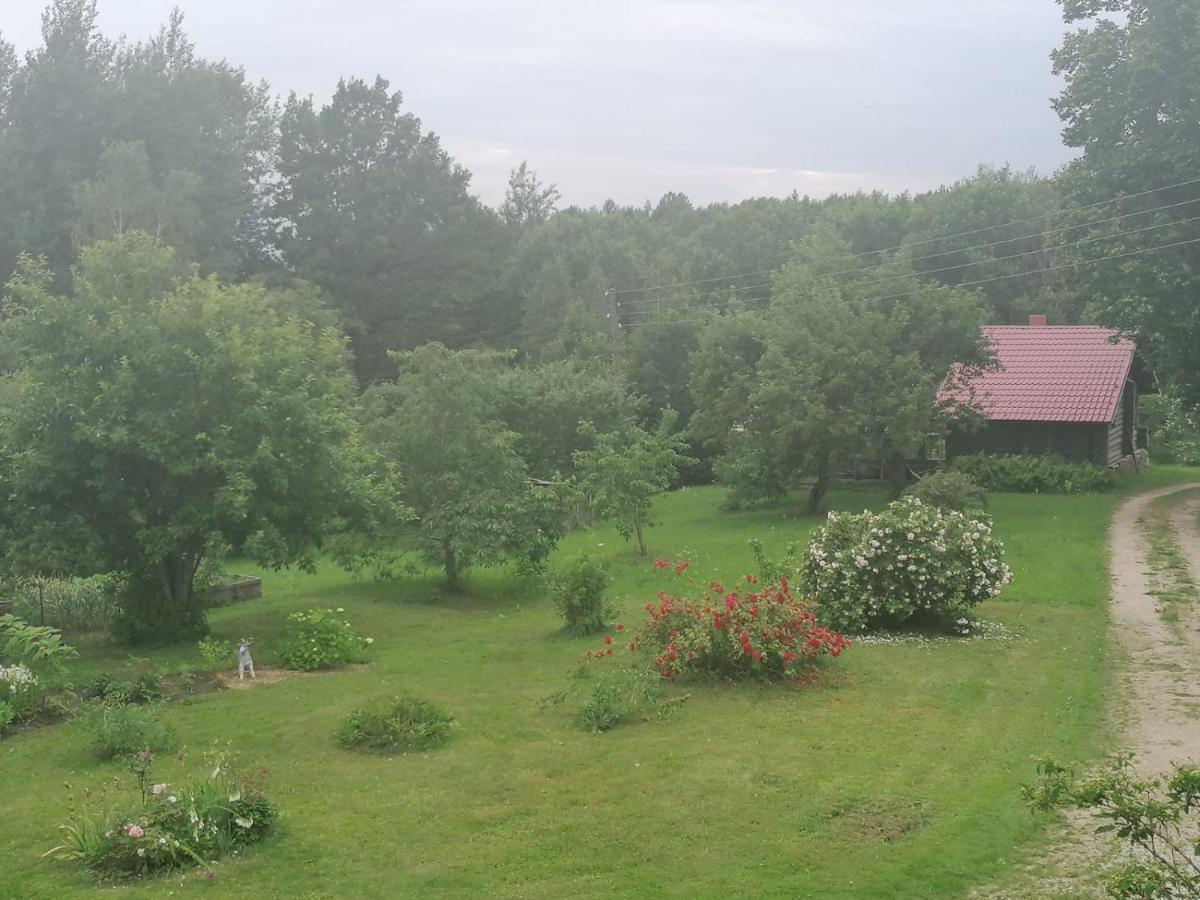 דירות Mālpils Country House Podini מראה חיצוני תמונה